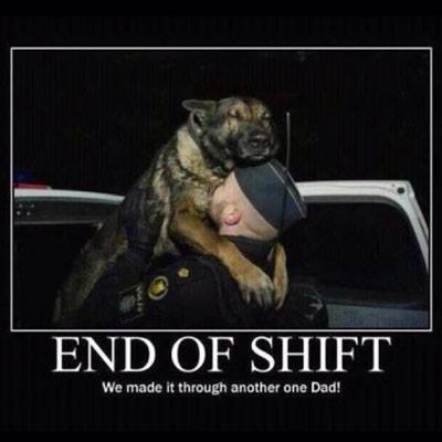 Police-Dog%20Image-10