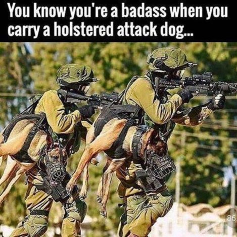 You-know-your-a-badass-dog-meme