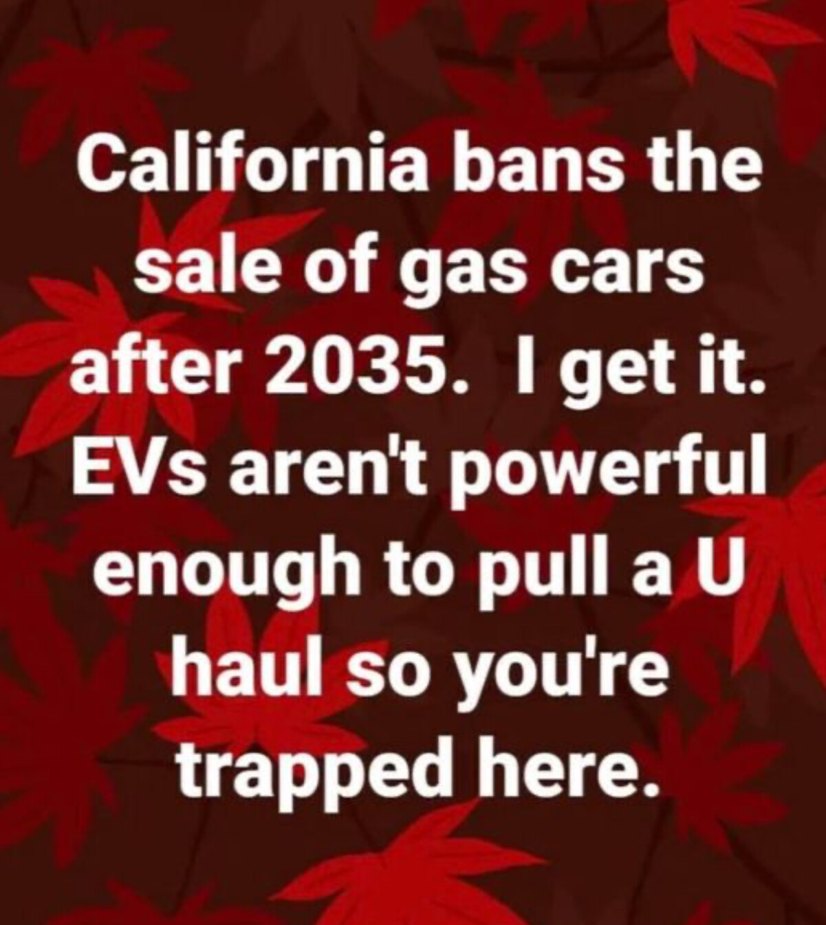 Memes that don't fit elsewhere II (NO Politics) (Part 4) - Page 226 - Take  a Meme, Leave a Meme - USCCA Community, image size:1201x1345