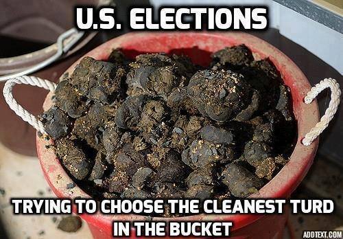 Cleanest_turd.jpg~original