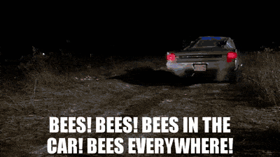 bees