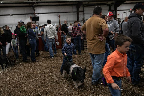 A small child guides a pig that’s larger than he is with a wand through a crowd of fairgoers.