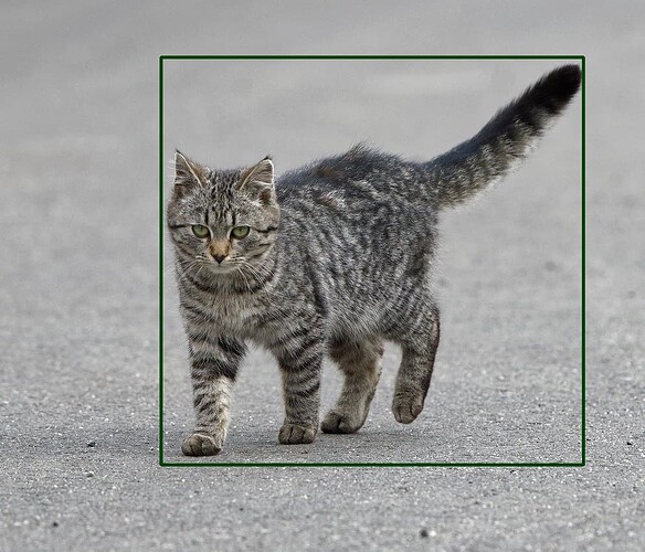 label_display set to False