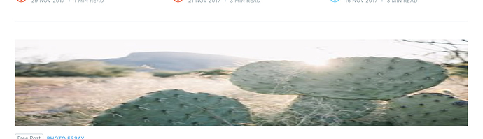 Screen Shot 2020-02-19 at 9.09.16 AM