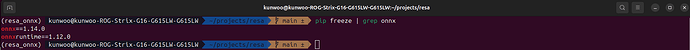 onnx_version