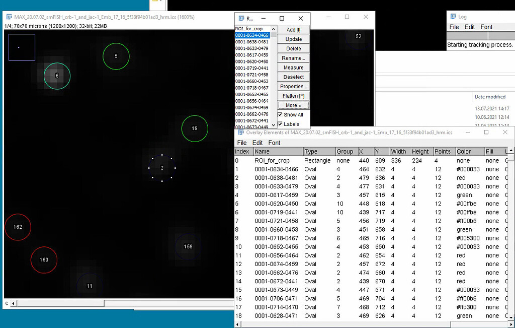 2d47bdd54abf06eeb502949ab113bc