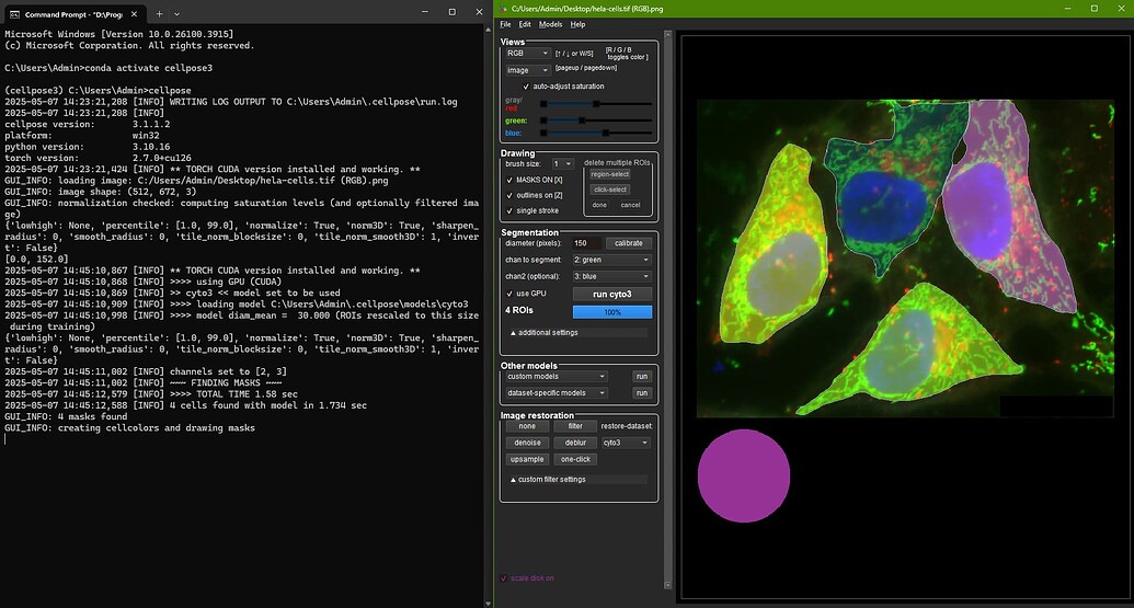 Cellpose [GUI] installation issues and potential solution - Usage ...