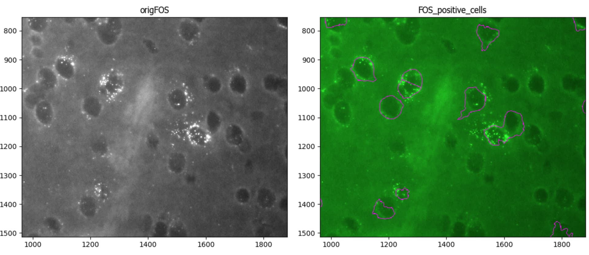 Cell profiler modules image analysis image sc forum