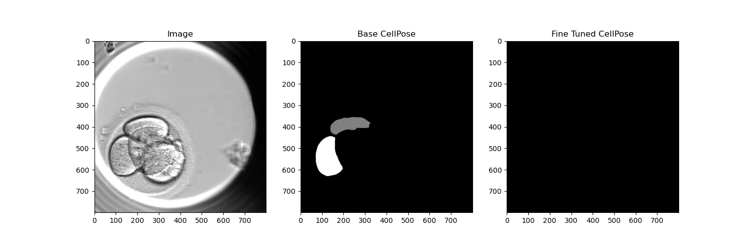 Fine-Tuning Cellpose Model for a custom Dataset - Image Analysis ...