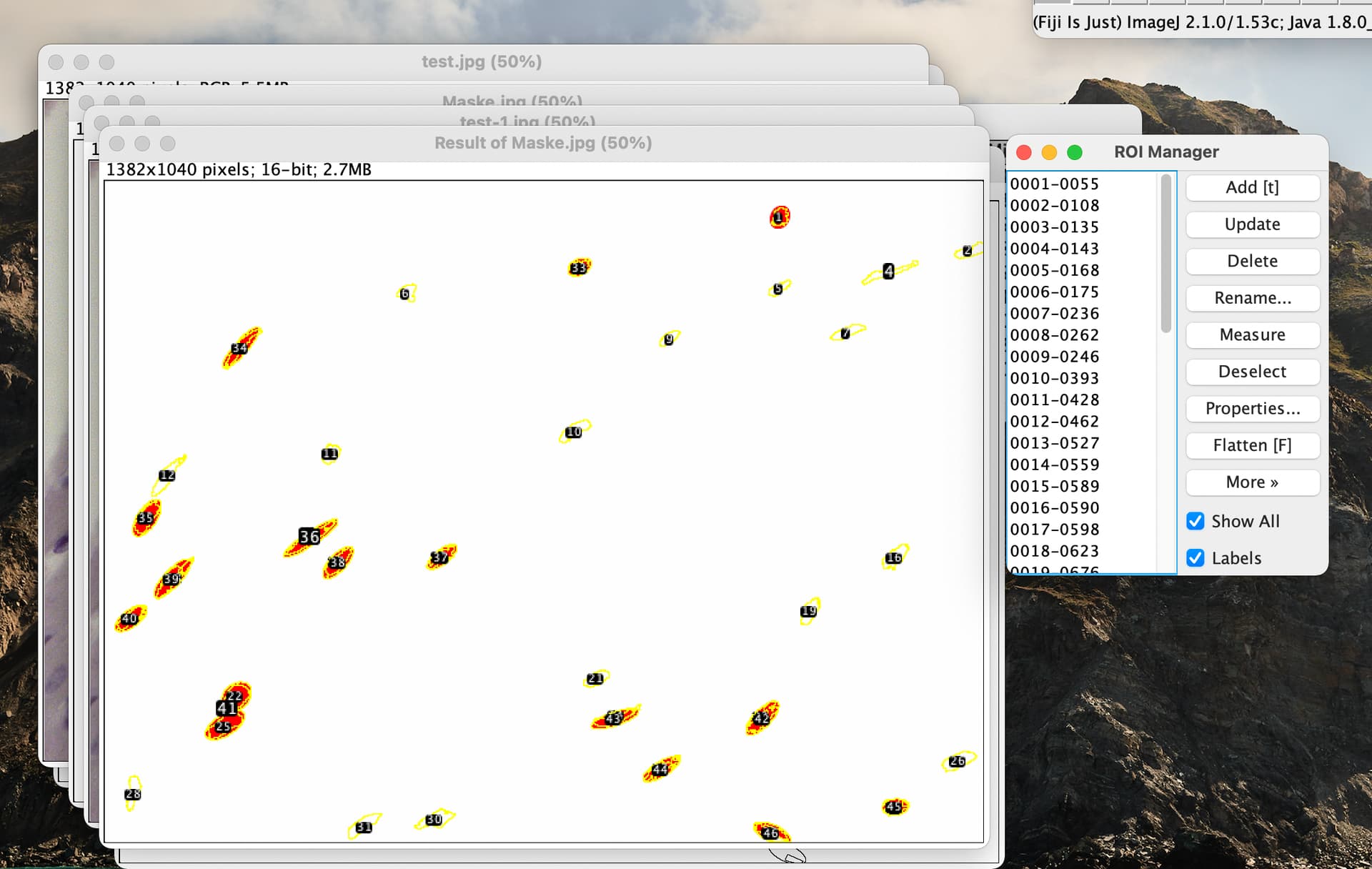 Need help with DrawEllipse Macro - Usage &amp; Issues - Image.sc Forum