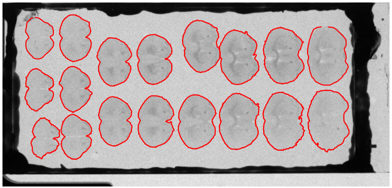 Reading ROI / Graphics from CZI file - Usage & Issues - Image.sc Forum