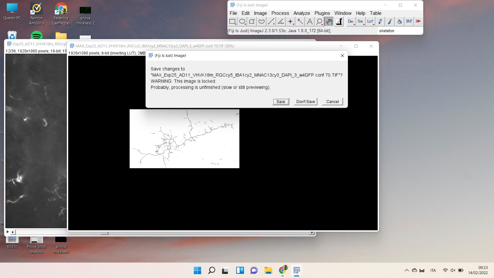 Analyze Skeleton 2D/3D: Performance and other issues - Image Analysis ...