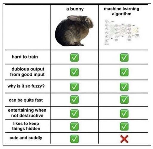 Bunny vs AI