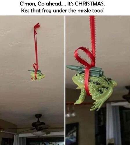 Kiss That Frog1