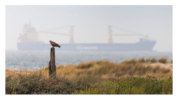 263060742_10224365600620431_4891267893651655643_n