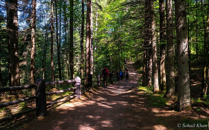Copper Falls State Park WI