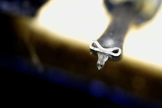 Photo on 30-11-2021 at 16.23