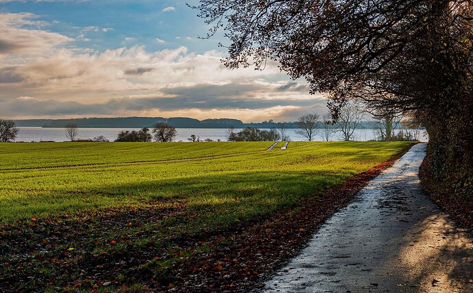 261980042_10225782552779371_5921708373040998506_n (2)