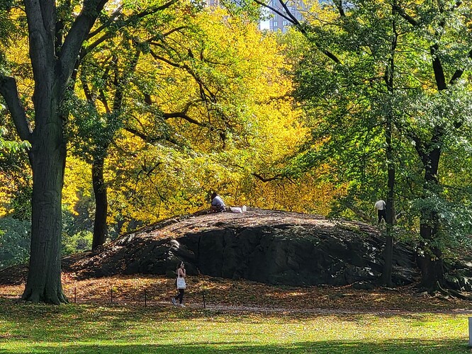 Reading Rock