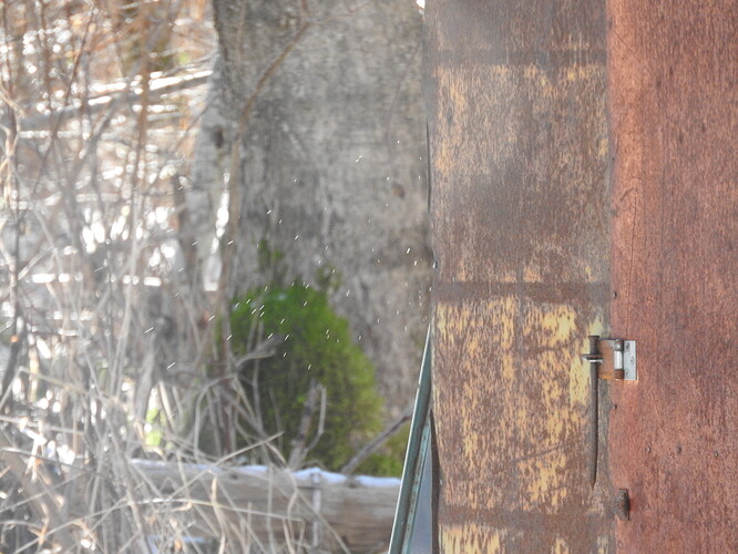 Shed 4