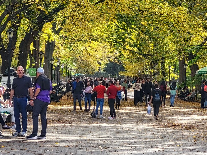 Literary Walk