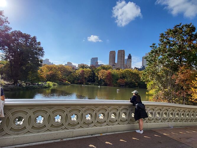 Bow Bridge Cityscape
