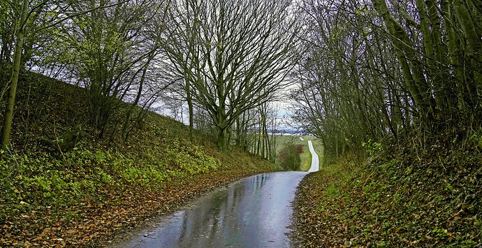 261673550_7263521560340522_2227246912041932483_n