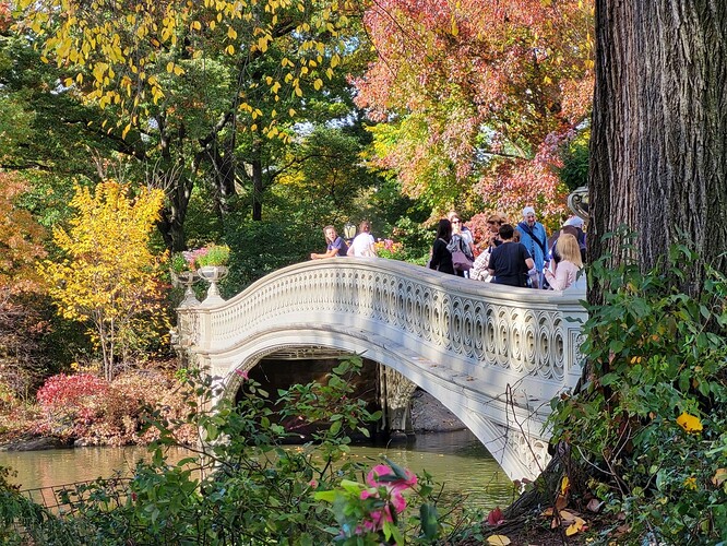 Bow Bridge Shire