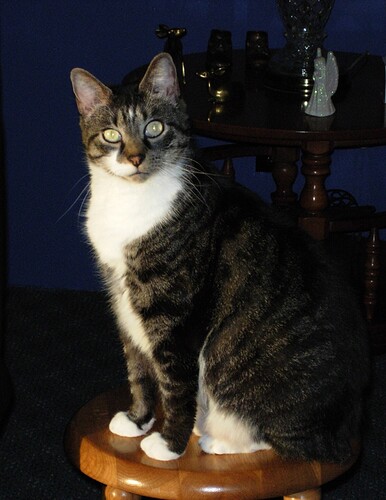 Roscoe1