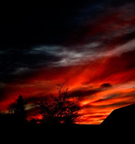 262501419_1538178963225934_6599536066456418477_n