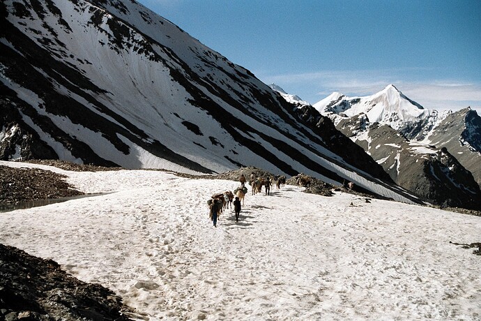 Ladakh 35426