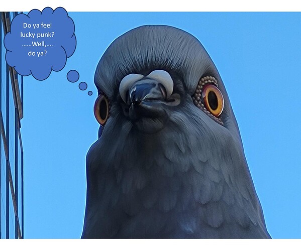 Big Pigeon Head