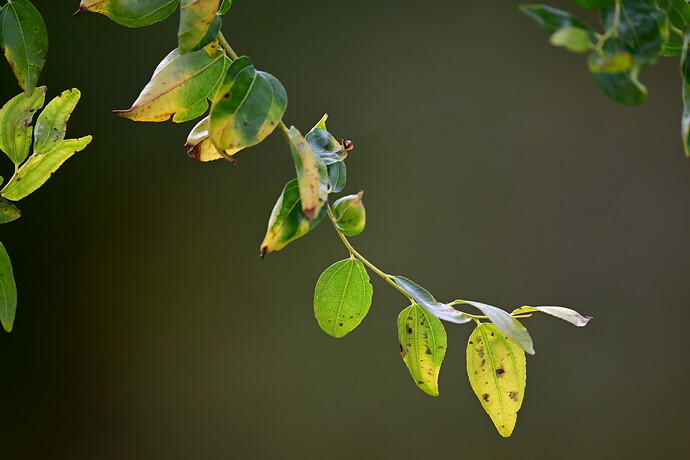 5134FD97-502C-4D1F-A648-924259896F18