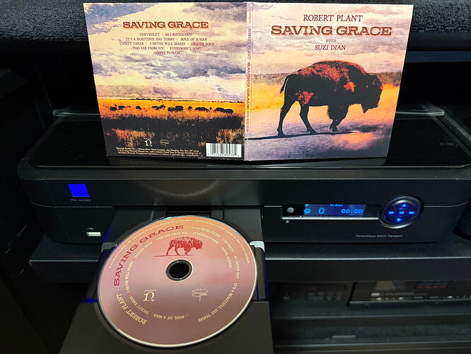 Robert Plant - Saving Grace CD