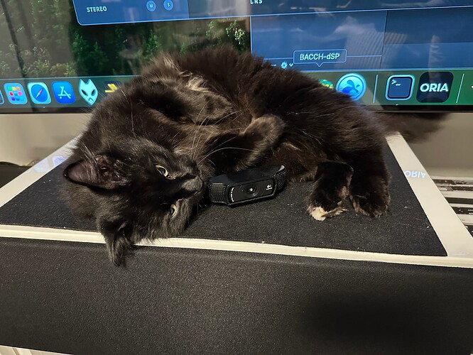 IMG_2127 Linus BACCH Webcam