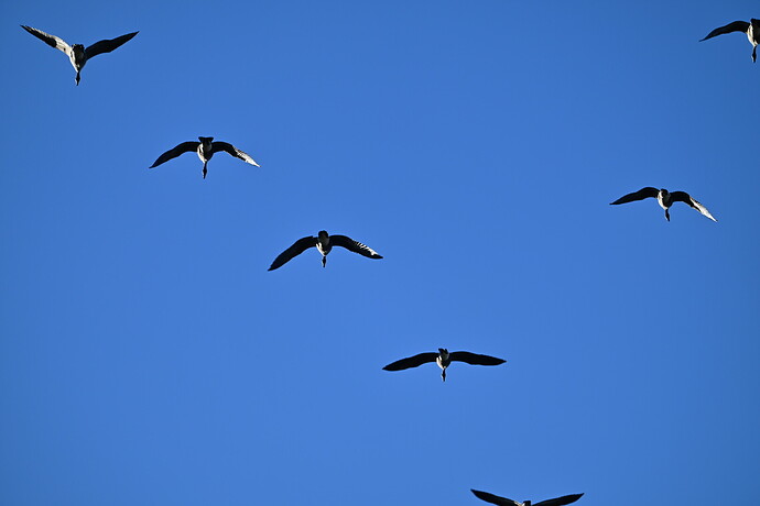 BA6A5B99-777C-4A1C-9A3D-DF442D33EA94