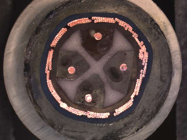 XLR