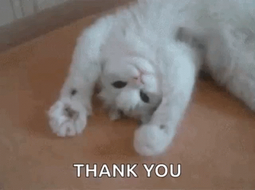 Thank You Cat Cute Paws GIF