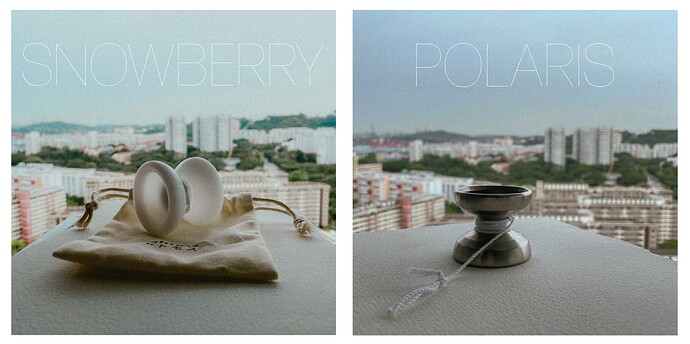 POLARISNOWBERRY