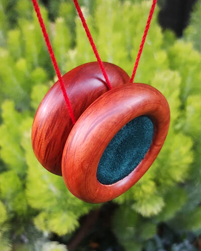 IMG_20251215_200927725~2