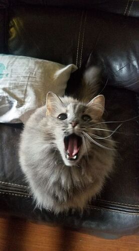 Luna =0