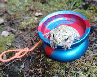 843ae5af51d2ea31f23075cccd873b757eb7b09f