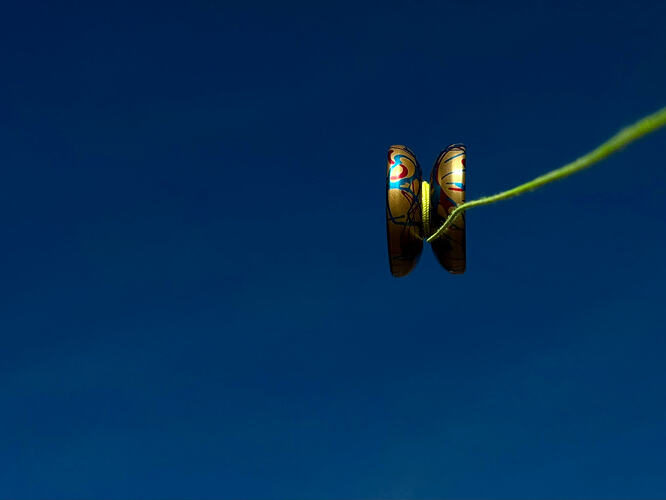 deepest-state-20251109