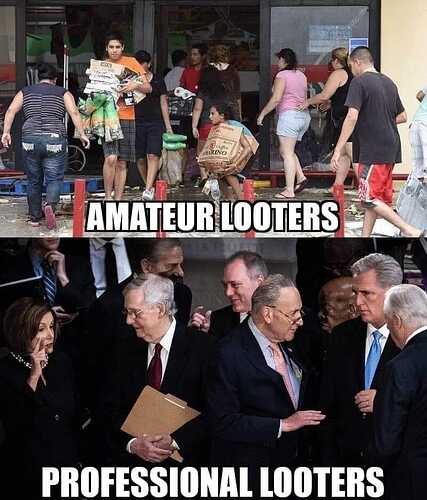 looters pro and amateur