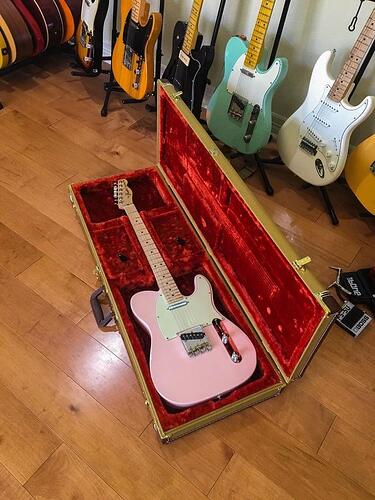 telegram-cloud-photo-size-1-5478971857345121026-y