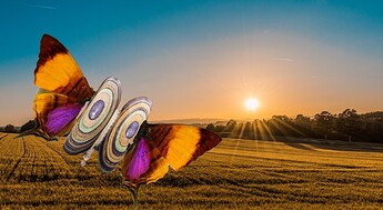 photo-1500382017468-9049fed747ef