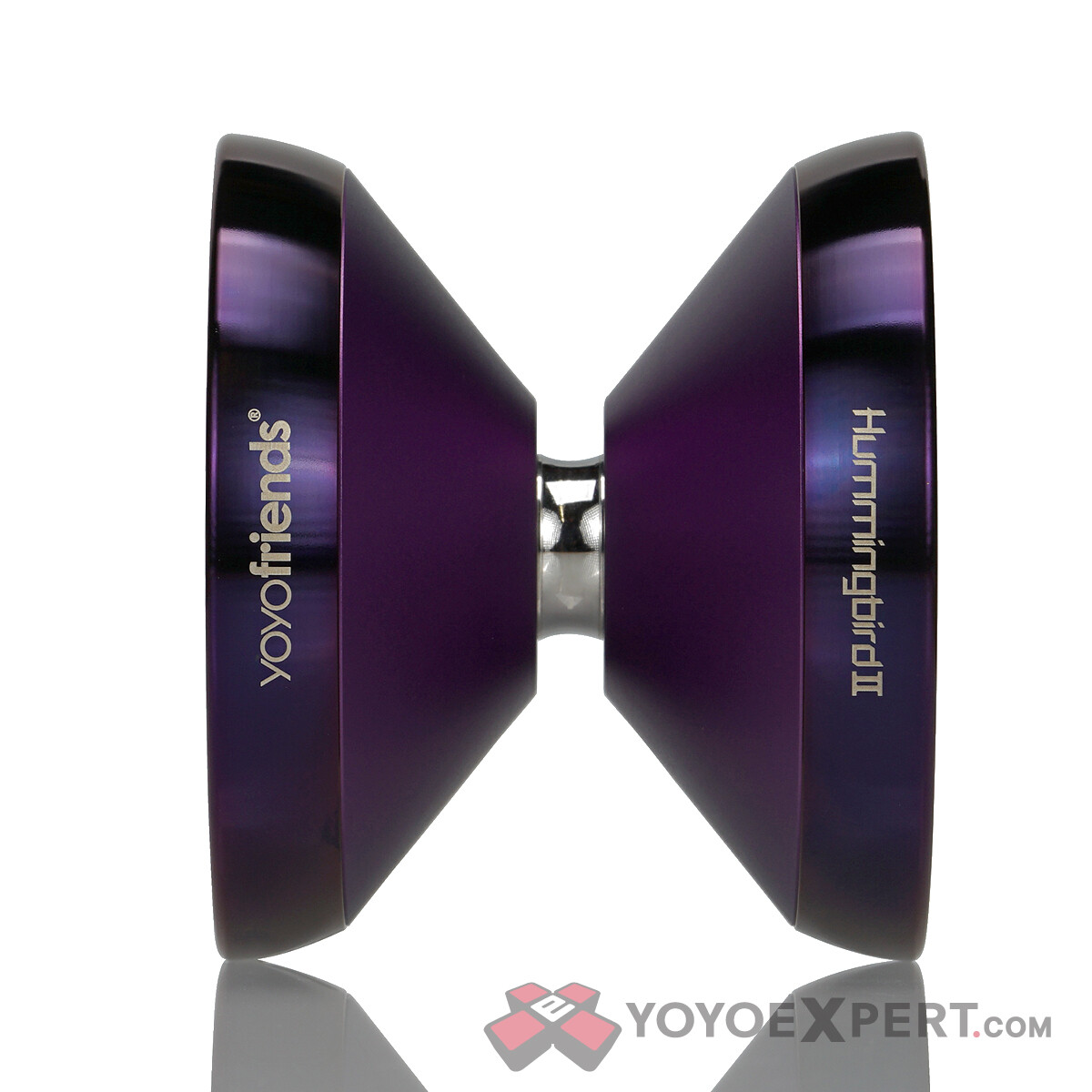 Blasted-Purple-Purple-Ring-Hummingbird-2-02