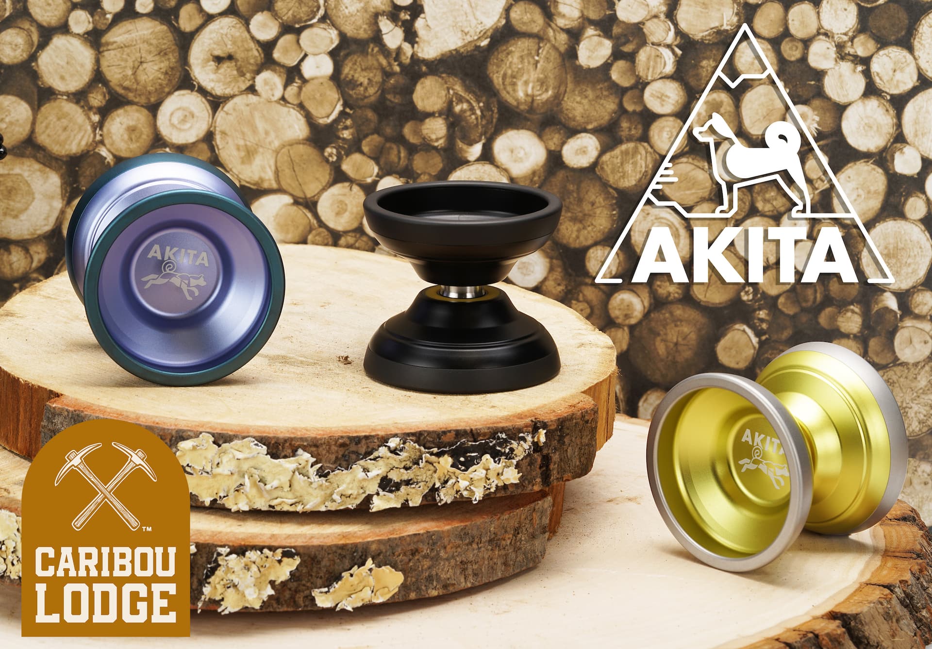 Akita_Feature