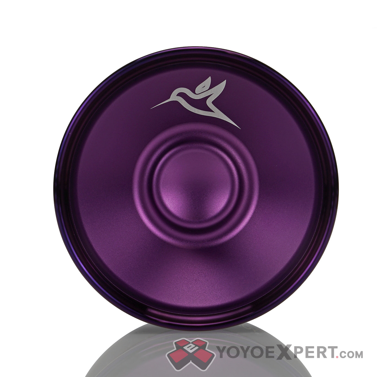 Blasted-Purple-Purple-Ring-Hummingbird-2-03