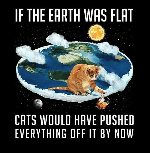 flat earth cats